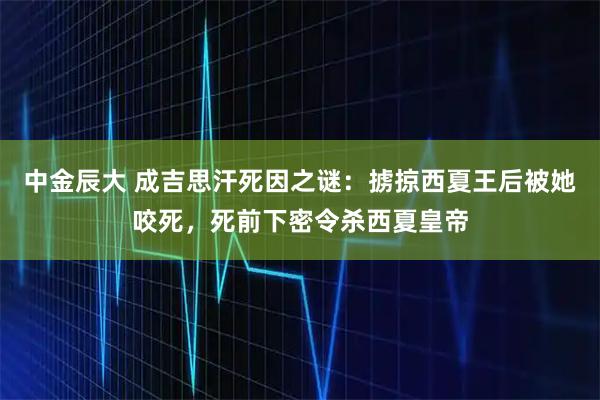 中金辰大 成吉思汗死因之谜：掳掠西夏王后被她咬死，死前下密令杀西夏皇帝