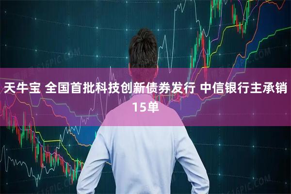 天牛宝 全国首批科技创新债券发行 中信银行主承销15单