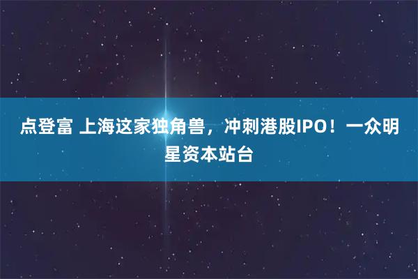 点登富 上海这家独角兽，冲刺港股IPO！一众明星资本站台